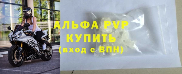 стафф Каменск-Шахтинский