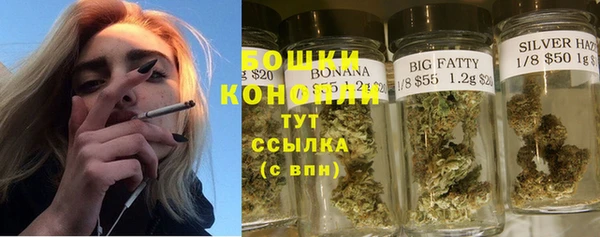 сатива Абаза